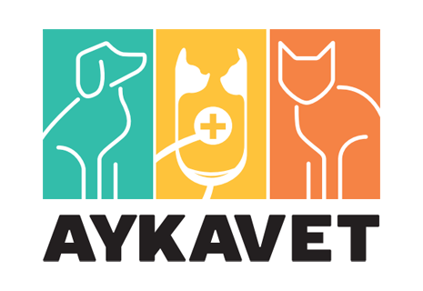 aykavet-logo-3